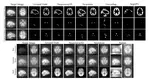 Neuroverse3D: Developing In-Context Learning Universal Model for Neuroimaging in 3D
